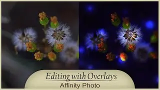 Editing with Overlays in Affinity Photo + How I captured the image