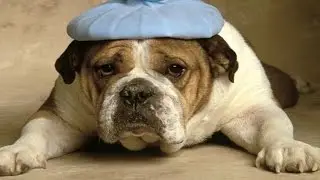 25 Startling Origins Of Popular Idioms