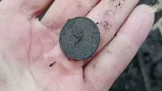 Коп удался.