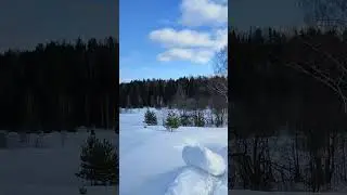 #лес
