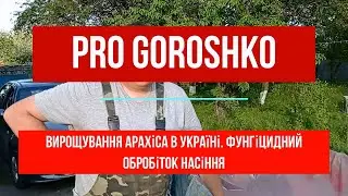 Вирощування арахіса в Україні. Фунгіцидний обробіток насіння.