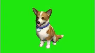 Cachorro Green screen chroma Key