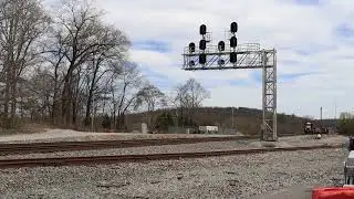 NS 1645 leads T43 with an RS5T