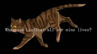 Who Gave LeafStar Her 9 Lives?