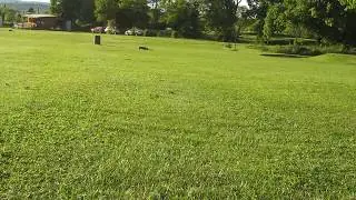 Short Run of Losi 5IVE-T RTR MGM Edition | MGM CONTROLLERS