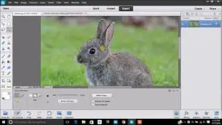 PEN TOOL in Photoshop Elements!