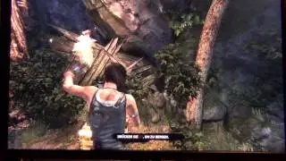 Tomb Raider (2013) - on AMD A10-7800 (1080p 50fps Offscreen)