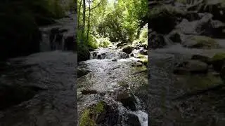 water flows in Nature