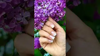 #nail #nails #дизайнногтей #ногти #маникюр #nailart #наращиваниеногтей #naildesign #гельлак