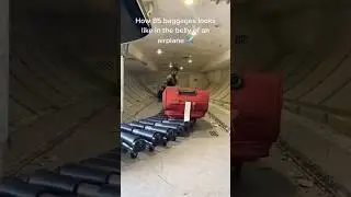 Have you ever wondered what happens to your bags after you check in? 