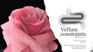 Bloomin rose, Vellum constraints HIP file