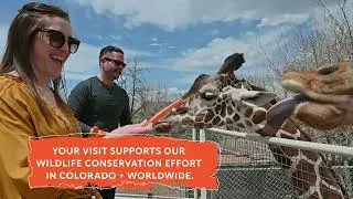 Together for Wildlife