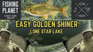 How To Quickly Catch The Golden Shiner In Fishing Planet!