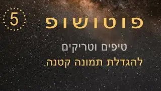 5 שיטות לשנות גודל תמונה בפוטושופ בקלות מבלי לאבד איכות