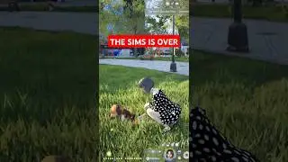 You can feed the cats! - InZOI Gameplay