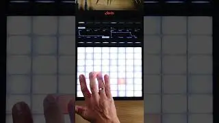 Ableton PUSH 3 - Short live performance אבלטון פוש