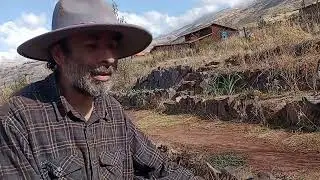 Sembrando por etapas en época de sequía
