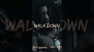 [FREE] JDOT BREEZY x YOUNG DOLPH Type Beat | “Walk Down”