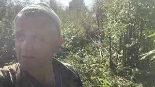 Форелевый пруд