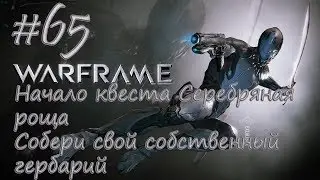 |Начало квеста Серебряная роща|Собери свой собственный гербарий| - Let's play [Warframe] #65
