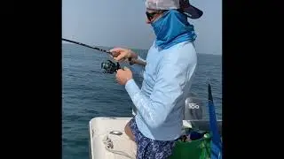 Big Grouper aka Hamour caught using a 20g jig in Dubai!