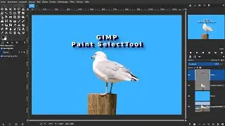 Gimp 2.99.6: Das neue Paint Select Tool