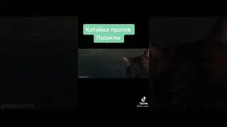 | Подборки видео. Оригиналы