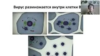 Как победить короновирус