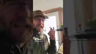 Crushing It With Microgreens For Chickens #SHORTS