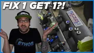 Fix 1 Skunk2 Problem Get Another.. + 1k Subscribers?!