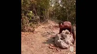 ?