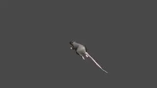 rat run 02