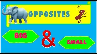 Opposite words | Opposite Words for kids