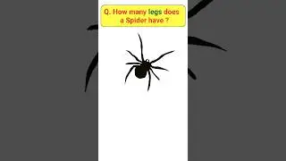 Total legs of Spider #science #shorts