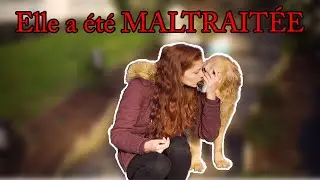 VOICI SON HISTOIRE