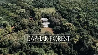 Daphar Forest | 2nd Largest Forest Near Bhera City