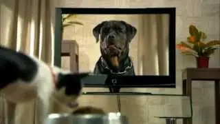 Телевидение под настроение. iD TV