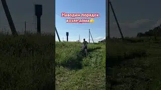 Покос травы🌿 #траваудома #лето #дом