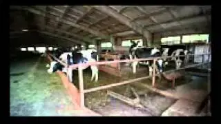 Древнее учение Иисуса Христа  Правдозор