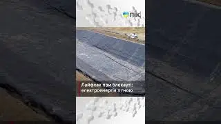 Електроенергія з гною