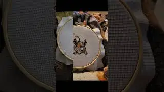 Eevee Cross Stitch Project #eevee #crossstitch #pokemon