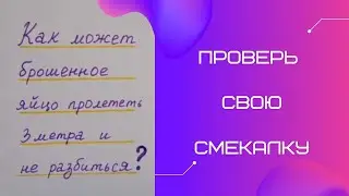 Занимательная логическая задача. Проверь свою смекалку