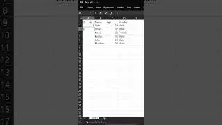 How to insert Rows and Columns in between records in MS Excel