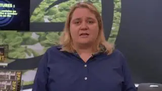 Dr Nadia: How Different Controls Impact Product Consistancy