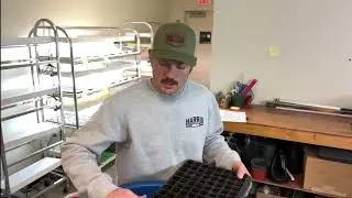 How to Start Seeds for Cool Season Crops