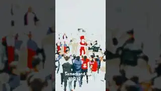 Агентства Samarkand bears принимаем заказы