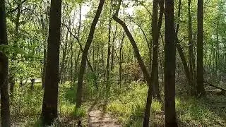 Spotted some Deer at RBNC
