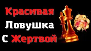 Красивая ловушка с жертвой | Уроки шахмат | Принятый Ферзевый гамбит