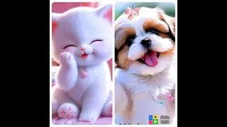 Highlight 1:35 - 6:35 from CuteCatsAndCuteDogs / MixVideoMixShorts / 1hrSecretLive #viral #adorablec