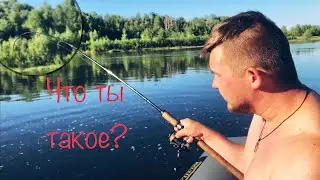 Такого Сома я еще не держал. Рыбалка на реке Урал г. Оренбург